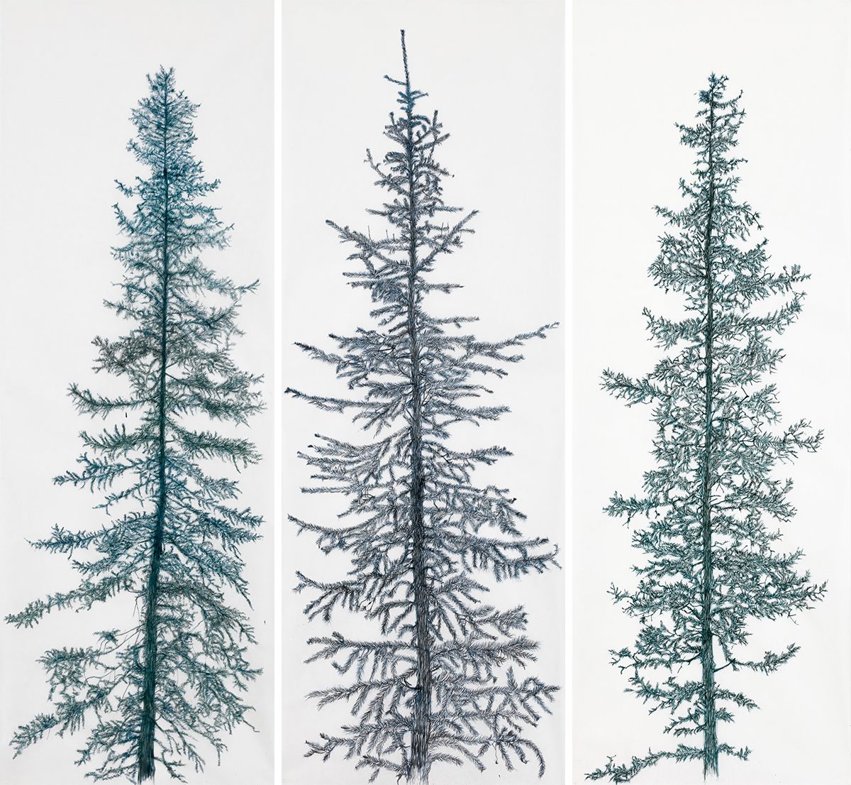 Play Magazine tweet media