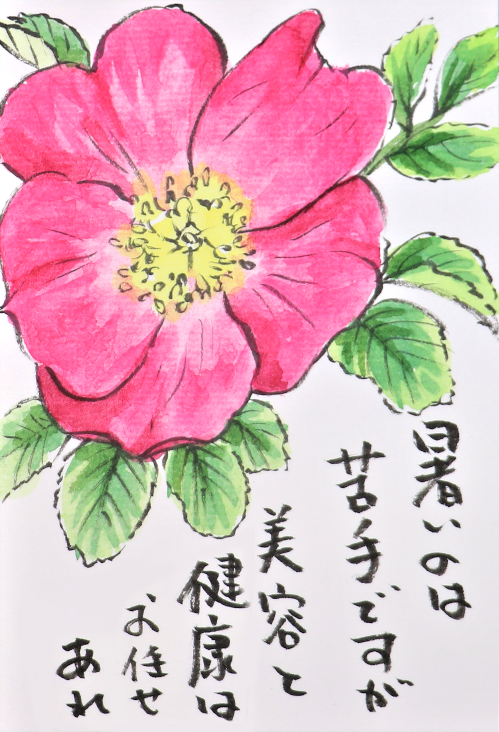 Twitter 上的 快適art絵手紙 初夏の花々 タチアオイ最近真ん中くらいまで咲いてました Youtubeの描き方解説もあります ハマナス T Co Yezjbzgyqp 睡蓮 T Co Umch3wkui2 タチアオイ T Co Cxw5vviqci 絵手紙 快適絵手紙 イラスト