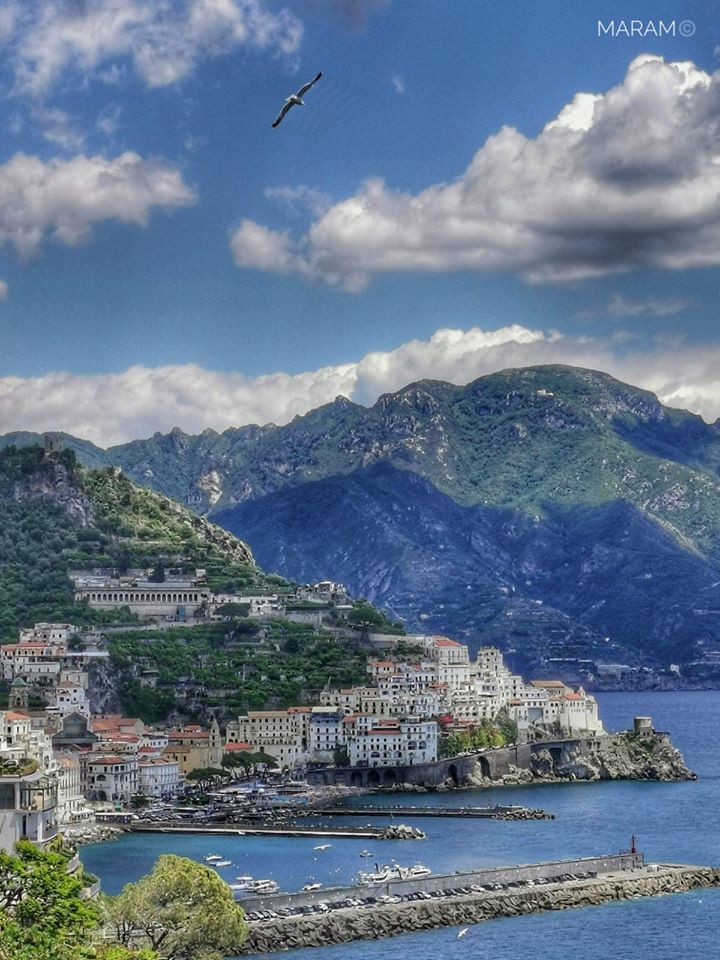 micheleguarino8's tweet photo. ...la bellezza di un semplice scatto :
Costa Amalfitana con il suo tramonto,
i suoi colori ed il profumo inebriante
del mare che mormora💙

Momenti indimenticabili in una foto,
#PaesaggiInteriori di Amalfi e dintorni !

Buongiorno e buona Domenica🍀☕️🙋‍♂️ https://t.co/6X6X1YoKKw