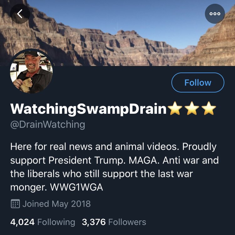 Then we have accounts like this one. Tweeting US, pro-Trump MAGA, QAnon, yet mysteriously claiming to be Canadian when tweeting anti-Trudeau conspiracies.  #cdnpoli