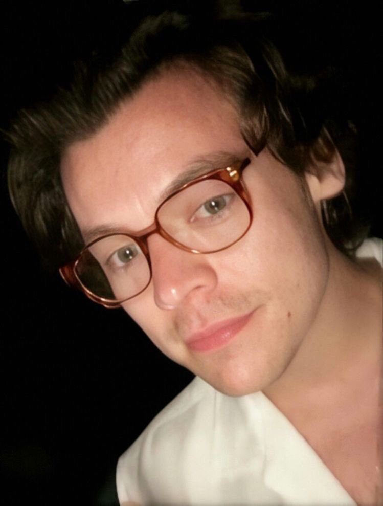 rudy pankow as harry styles: a thread