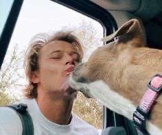 rudy pankow as harry styles: a thread