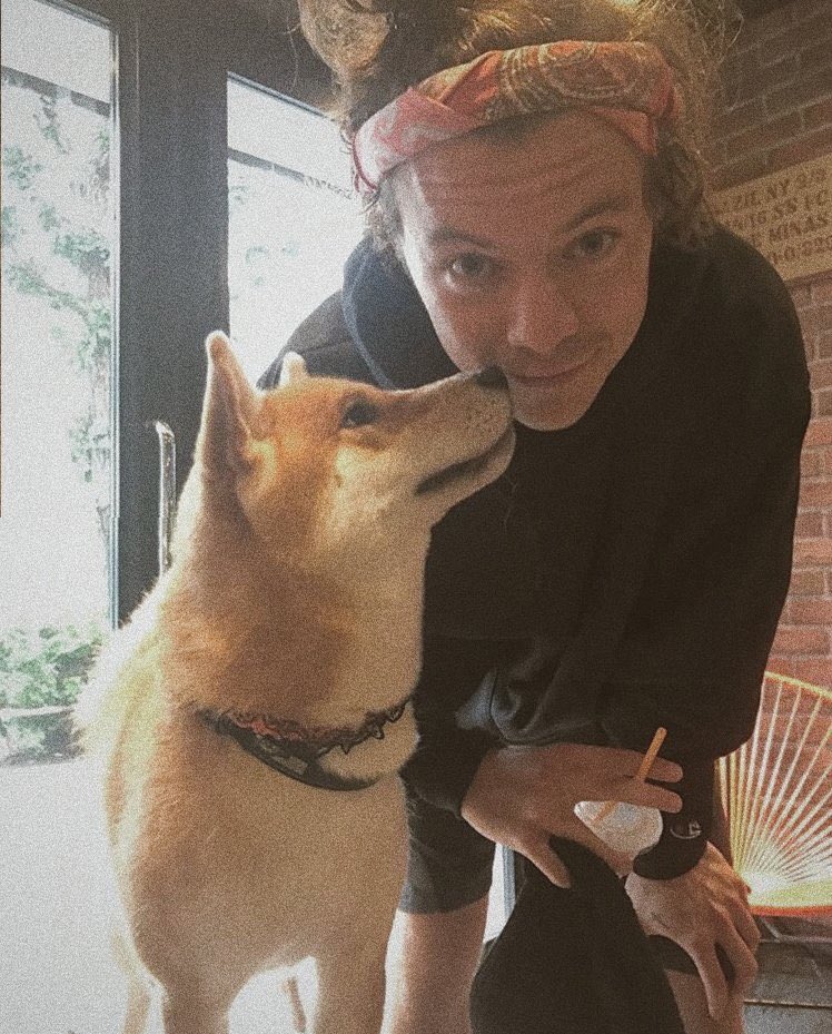 rudy pankow as harry styles: a thread