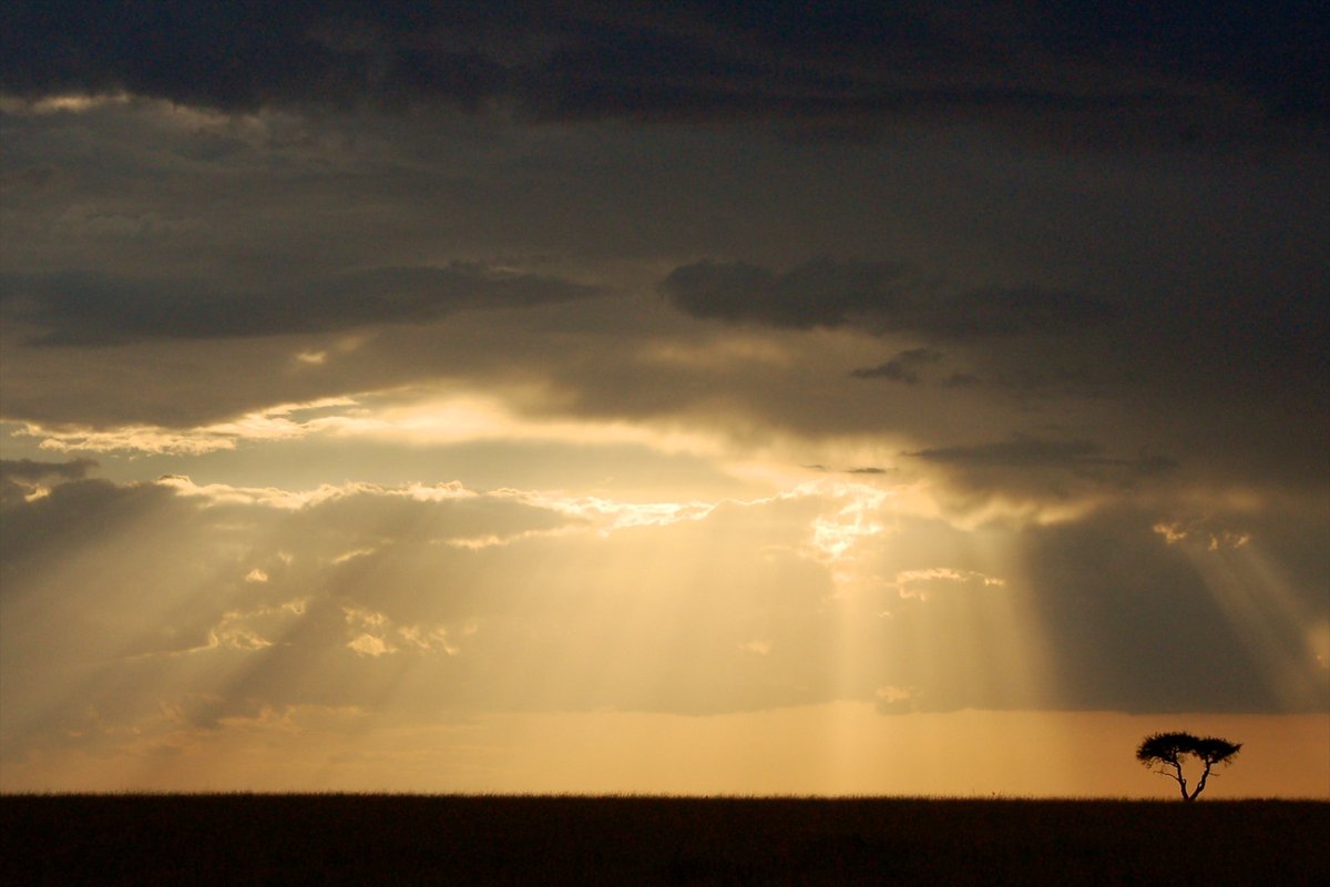 Global Landscapes Forum (GLF) tweet media