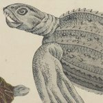 main image of this resource
