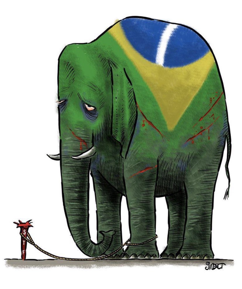 Fernanda Salles (@reportersalles) on Twitter photo 
