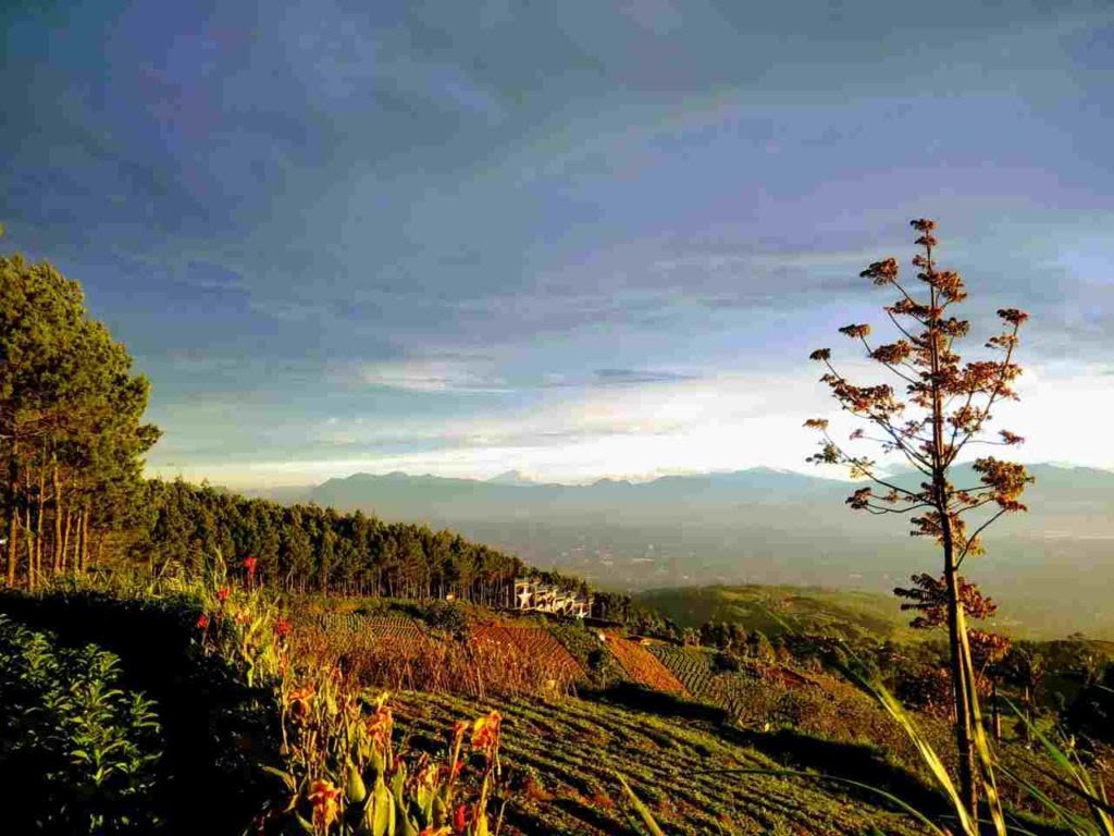 11. Bukit BintangTempat wisata alam yg menghadap langsung ke kota Bandung menawarkan pemandangan yg indah dan romantis terutama saat sunset dan mal hari . Letaknya di Cimenyan, Bandung, Jawa barat. Jam operasional dari pukul 05.00-19.00 WIB.