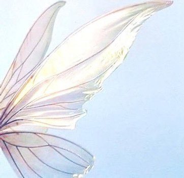 S.S. Kingdon 👩🏼‍⚕️❤️👨🏻‍⚕️|🚢🆓 tweet media