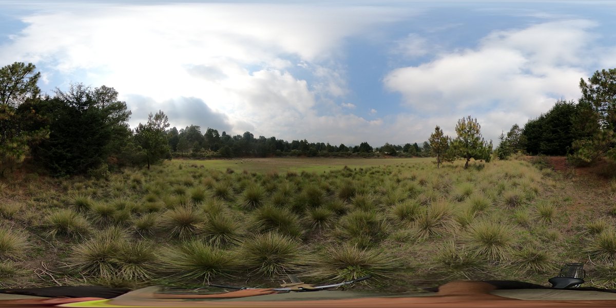 OneFlyDrone's tweet photo. Que tus clientes visiten tu negocio es posible con fotografía 360º y recorridos virtuales. Contáctanos para apoyarte con la digitalización de tu negocio! #TourVirtual
https://t.co/uf5sRRSW3g https://t.co/nPxOxPM2c9