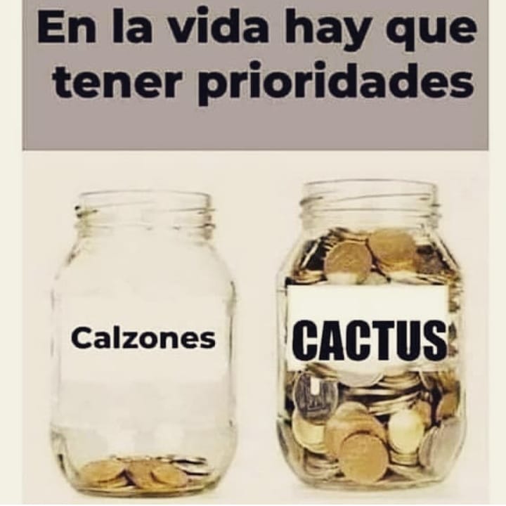 #mamáplantil #suculentas #suculentaslovers #plantas #plantslovers #plants #suculentasycactus #CactusTweets_ #cactusysuculentas #suculentasbucaramanga #sucudelmundo #suculentascolombia #suculovers #sucu #succuaddict #succulentsofinstagram #succulentslover #suculents #sucuadict