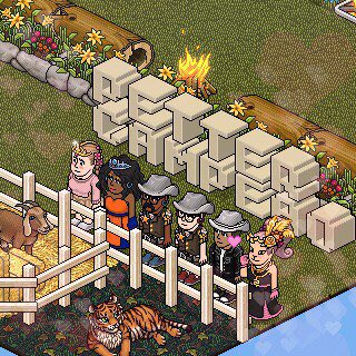 betrezze's tweet photo. e vamos de campeão!!! 
parabéns @PetterHabbo!!! 💖💖💖 https://t.co/qgOhFoq2OY