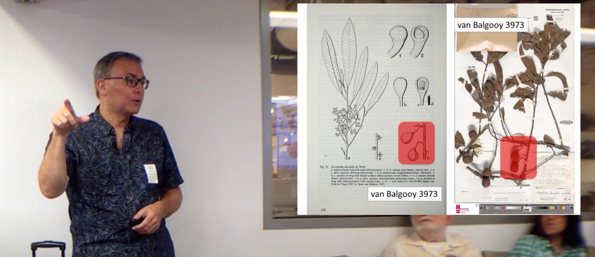 SiobhanLeachman's tweet photo. As a result of watching @BioDivLibrary presentations on Youtube I've again discovered & am rewatching this presentation by @rdmpage. https://t.co/wZNf66JdCj I just adore the way Rod thinks and continue to hope that many of his visions/wishes come to fruition. #DigitalArticle #LOD https://t.co/87zzU4V0Hy