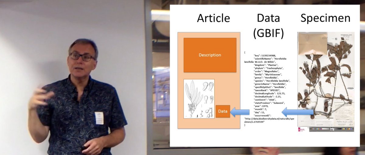 SiobhanLeachman's tweet photo. As a result of watching @BioDivLibrary presentations on Youtube I've again discovered & am rewatching this presentation by @rdmpage. https://t.co/wZNf66JdCj I just adore the way Rod thinks and continue to hope that many of his visions/wishes come to fruition. #DigitalArticle #LOD https://t.co/87zzU4V0Hy