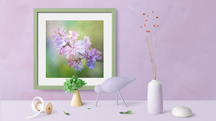 Enhance your home decor with 'Painted Korean Lilac Framed Print' by Anita Pollak. bit.ly/KoreanLilacFra… #koreanLilac #missKim #fineartphotography #photoart #photopainting #purple #green #springGarden #springFloral #framedPrint #homeDecor #giftideas #livingroomart #flowers