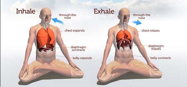 The  #Yogi masters were right – breathing exercises can sharpen your mind. #Pranayama  #Yoga  #YogaJournal It has long been claimed by Yogis that meditation and ancient breath-focused practices, such as pranayama, strengthen our ability to focus on tasks.  https://www.tcd.ie/news_events/articles/the-yogi-masters-were-right-breathing-exercises-can-sharpen-your-mind/8917/