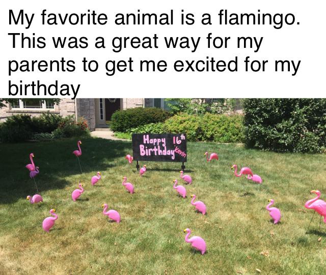 WholesomeMeme's tweet photo. https://t.co/Lb0c3GIfbY