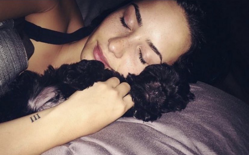 okay now back to our regularly scheduled programming