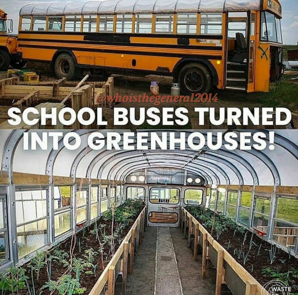 DanielTFreeman1's tweet photo. #farming #blackfarmers #emergencypreparedness #growyourownfood #BuyLandNotSneakers #ebonypreppers #survival #blackpreppers #preparedness #SarahConnerWasAPrepper #offthegrid #blacksurvivalists #beprepared #survivalists #afrovivalist #blackprepper #bugoutbag #PrepareNow https://t.co/80VdOawBd8