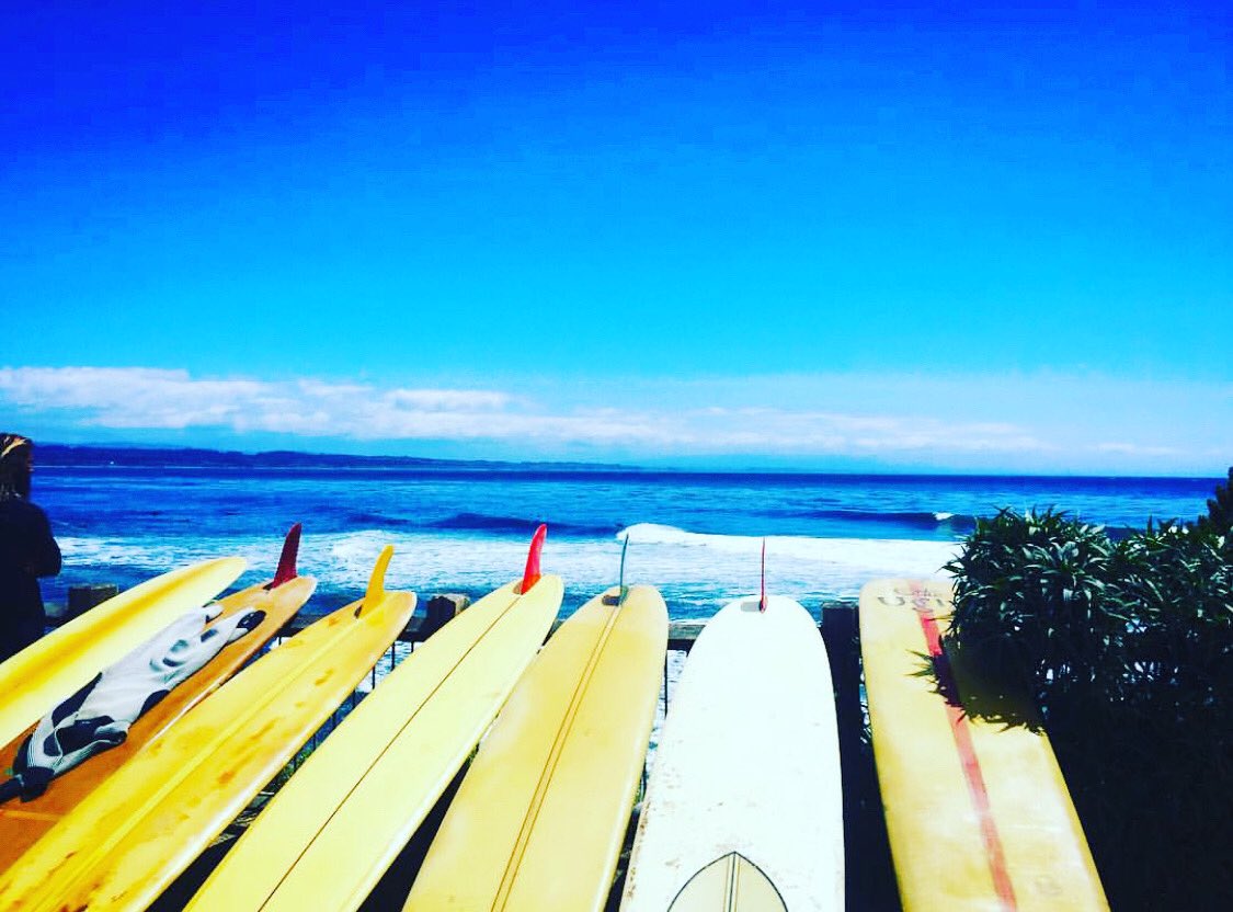 Happy International Surfing Day! 🌊 #surfing #InternationalSurfingDay #santacruz #summertime