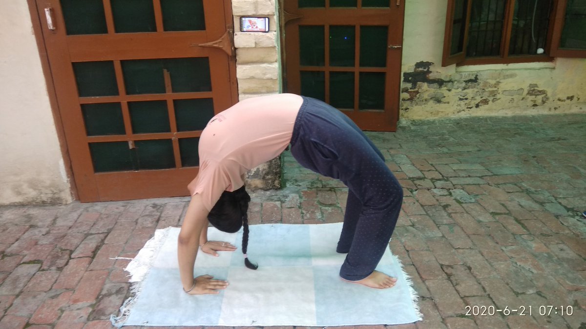 AnishaDhariwal's tweet image. #HarGharYoga and
#YogaAtHome 
@highereduHRY