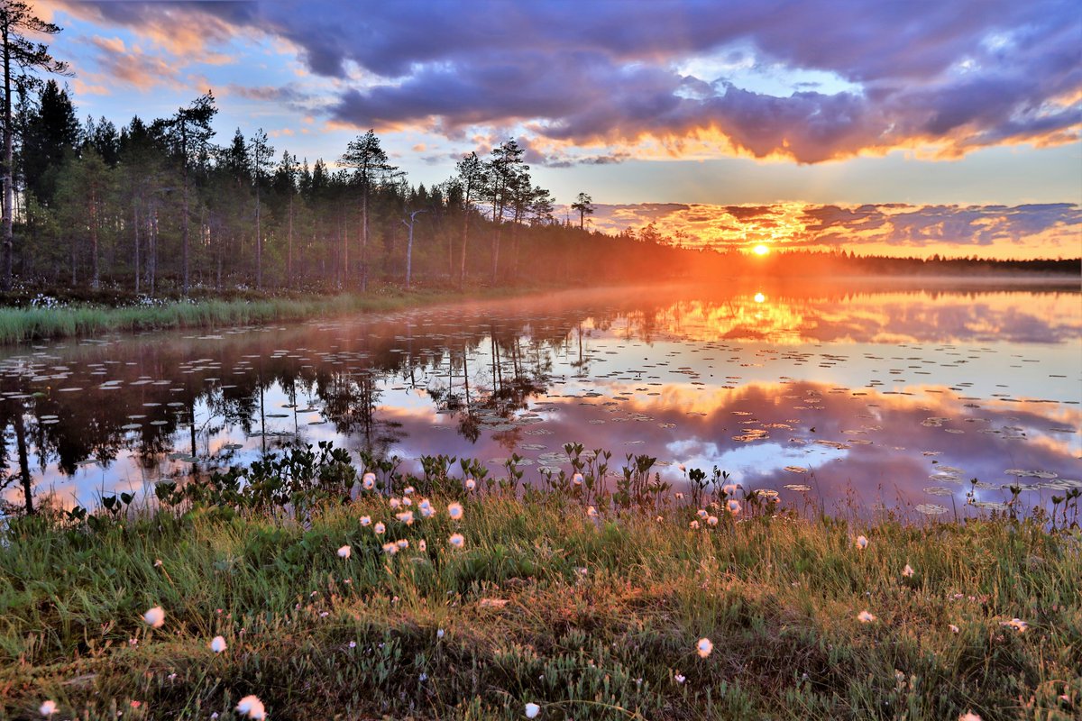 Aamun hetki. 21.6 2020.