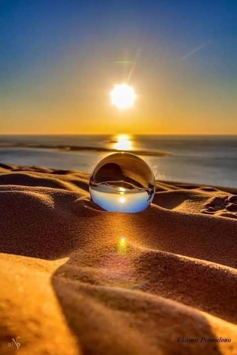 زهرة البنفسج عواطف السعدية على تويتر من أتقن الصبر لن تكسره الحياة ومن عرف قيمة الحب تهون عليه التضحيات ومن تقاسم السعادة مع الأخرين شعر بقيمة الإنسانية صباح الخير والسعادة