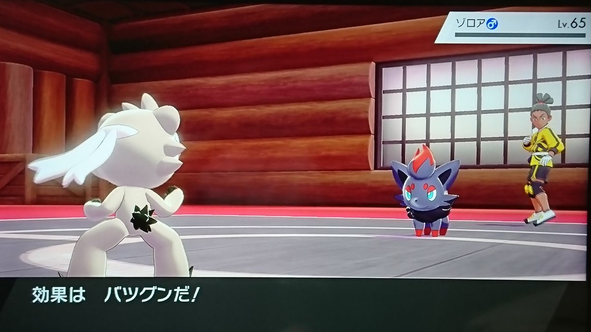 ポケモン 剣 盾 イン ファイト