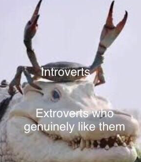 WholesomeMeme tweet picture