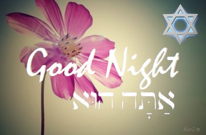 AlanZionist's tweet photo. @lizBeth_Hineni 😂😂😂 Yes, Yogi is great, my favorite comic.
Very cute night Honey 💞 

#2020WE #LaylaTov #GoodNight
B"H 💙 https://t.co/mxaYbs0XTU