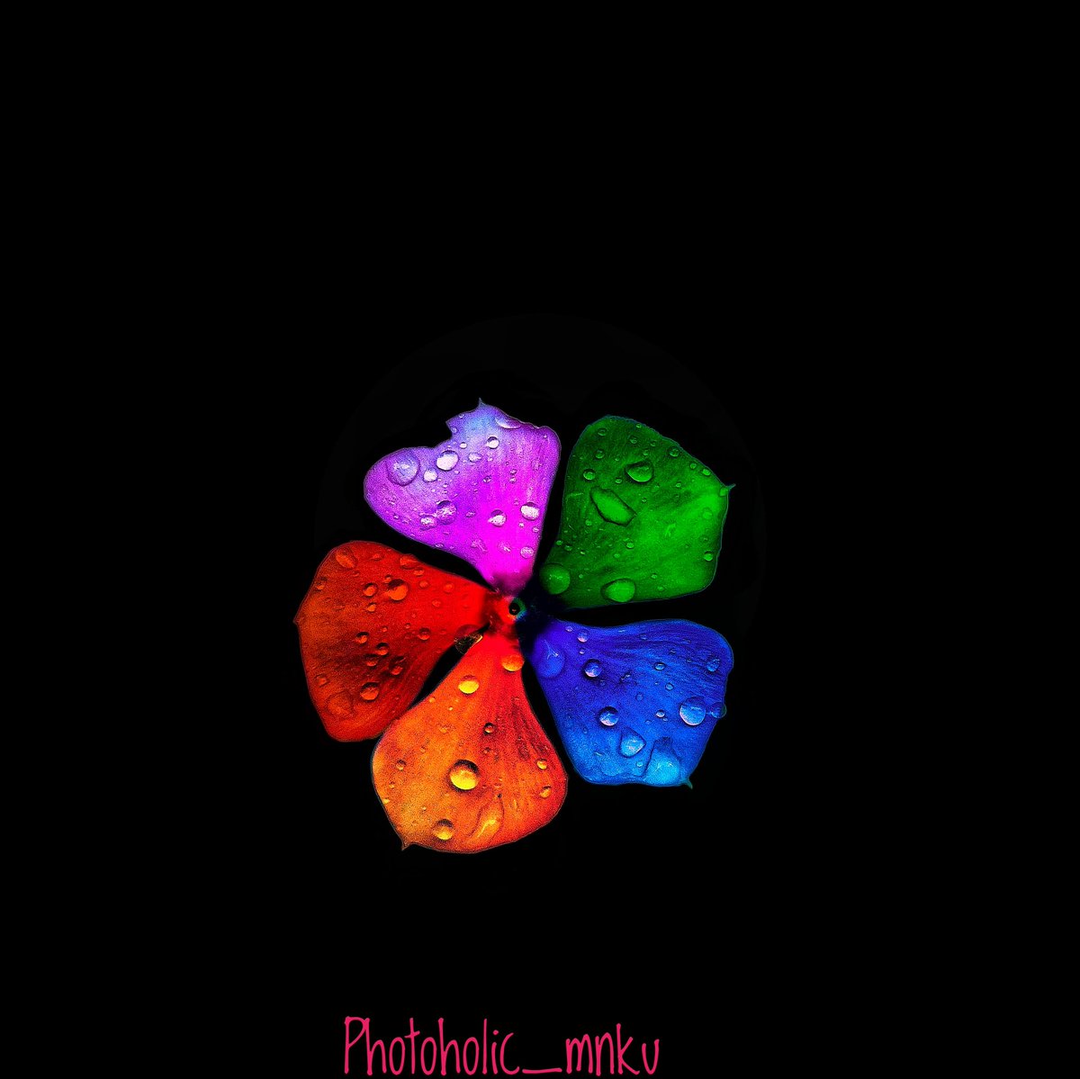 Manish_mani7792's tweet photo. ⓣℍє Ⓔ𝐀𝐫𝐓𝐇 ℓᵃ𝐔𝑔ℍ𝕤 ｉ𝕟 ƒ𝕃σŴ𝔼ʳ𝓢. 🌸🏵️🌼💮
Shot on #asusmaxprom2 
Retouching by @snapseed
#photography #PhotoMode #colorsoflife #Creative #lovephotography https://t.co/Imdfk9FsJ8