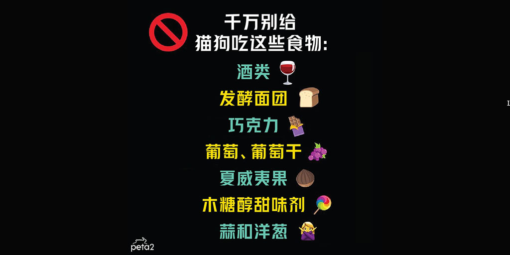 PETAAsiaZH's tweet photo. 🔔铲屎官们注意啦！这张图很重要，请分享给还不知道的人！！🐕🐈💕⁠
⁠
#dogs #cats #dog #cat #safety #dogandcatsafety #safetytips #animalsafetytips #animalsafety #animalrights #adoptdontshop #adoptdontbuy https://t.co/ycgxTpTKAy