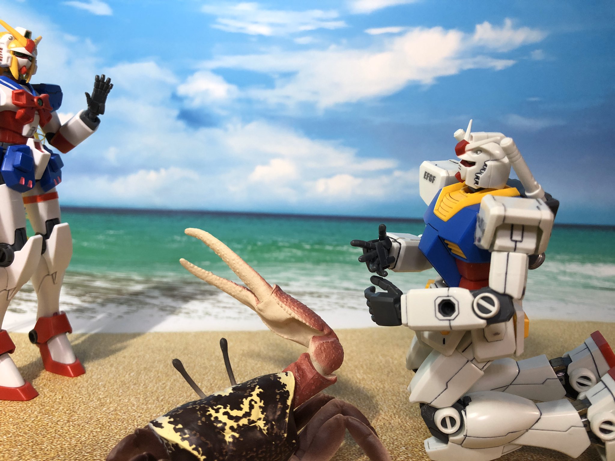 石澤ぐり A Twitter 本日のガンダムさん 片方だけハサミが大きいカニってメスへのアピールの為だとか T Co Izmtkoir7b Twitter
