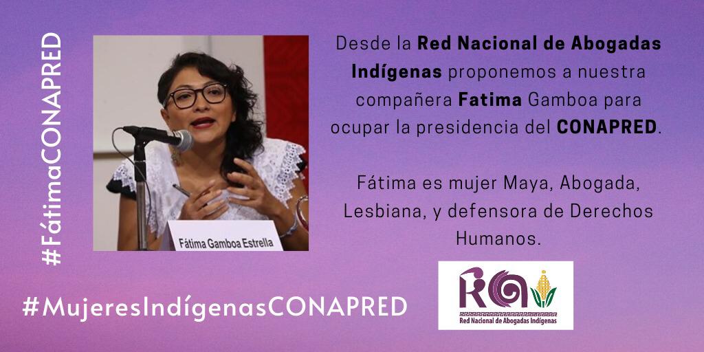 RedAbogadas's tweet photo. Desde la #RAI nos sentimos conmocionadas porque existe muchas madera de donde cortar, existe mucha capacidad en las mujeres indígenas dignas para ocupar el cargo del @CONAPRED invitamos a conocer a las postuladas desde la sociedad civil y ciudadanía. https://t.co/4AT1sX9gNx