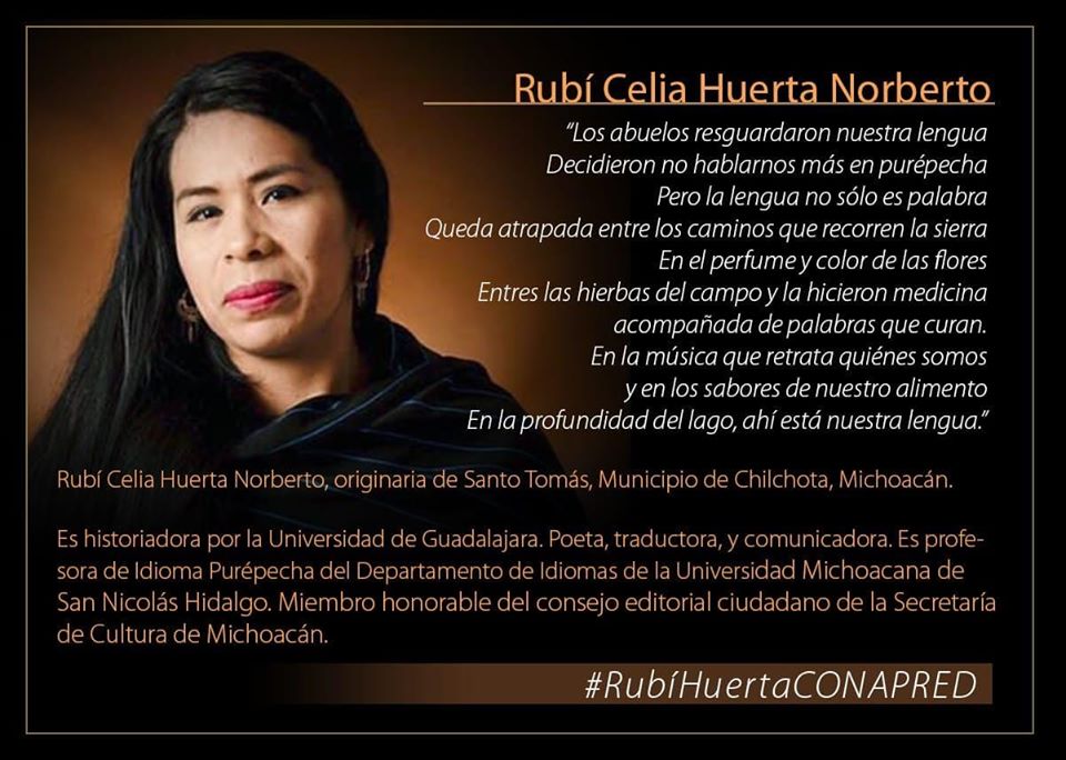 RedAbogadas's tweet photo. Desde la #RAI nos sentimos conmocionadas porque existe muchas madera de donde cortar, existe mucha capacidad en las mujeres indígenas dignas para ocupar el cargo del @CONAPRED invitamos a conocer a las postuladas desde la sociedad civil y ciudadanía. https://t.co/4AT1sX9gNx