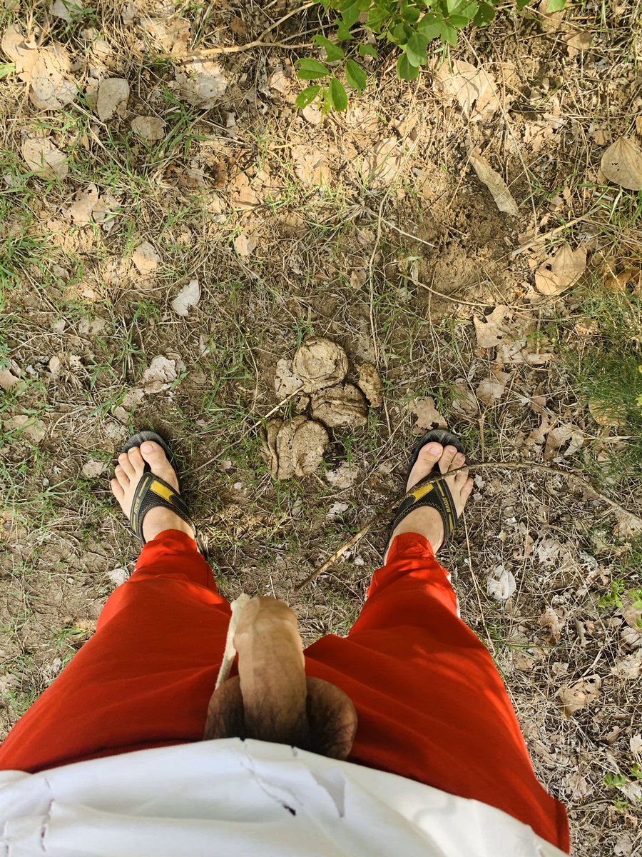 BiOutdoor3's tweet photo. ยืนฉี่อยู่ คนเลี้ยงวัวก็ผ่านมาเห็น ถึงกับตกใจ 🤣🤣 #รูปไม่หล่อ แต่ #ควยใหญ่ #โชว์ควย #เอ้าดอร์ https://t.co/MieLjjAUhQ