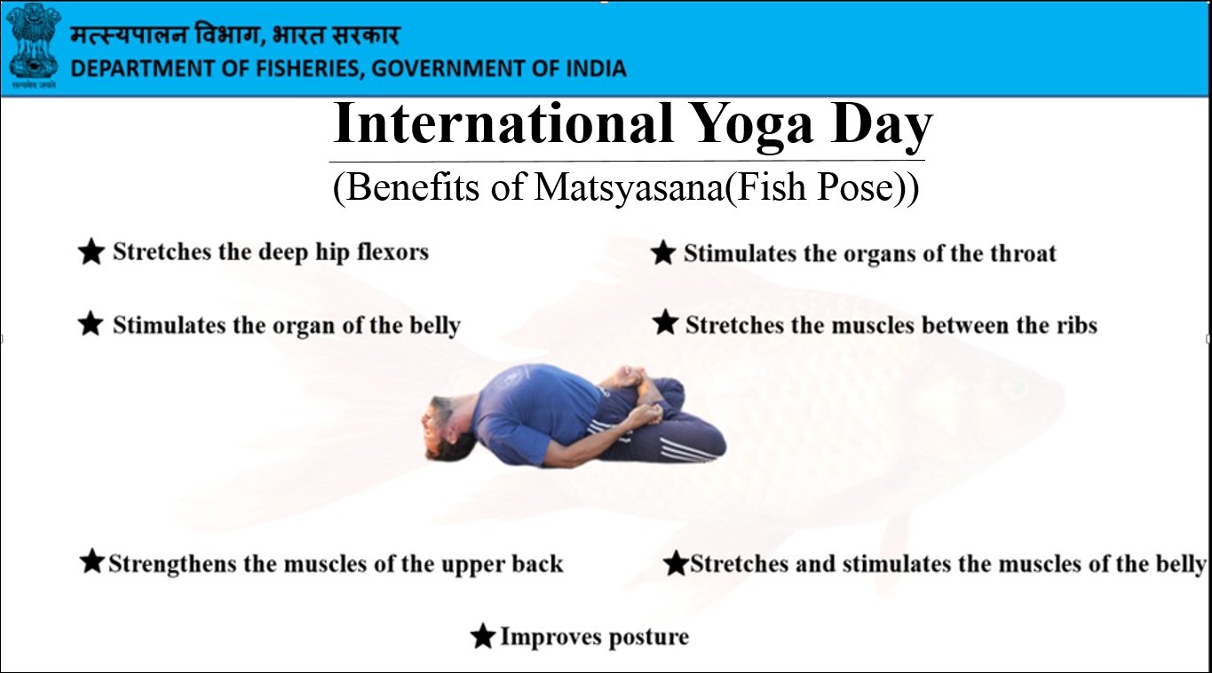 PPT - Ardha Matsyasana for Beginners_ Guide to Build Strong Foundation in  the Half Fish Pose.docx PowerPoint Presentation - ID:12583706