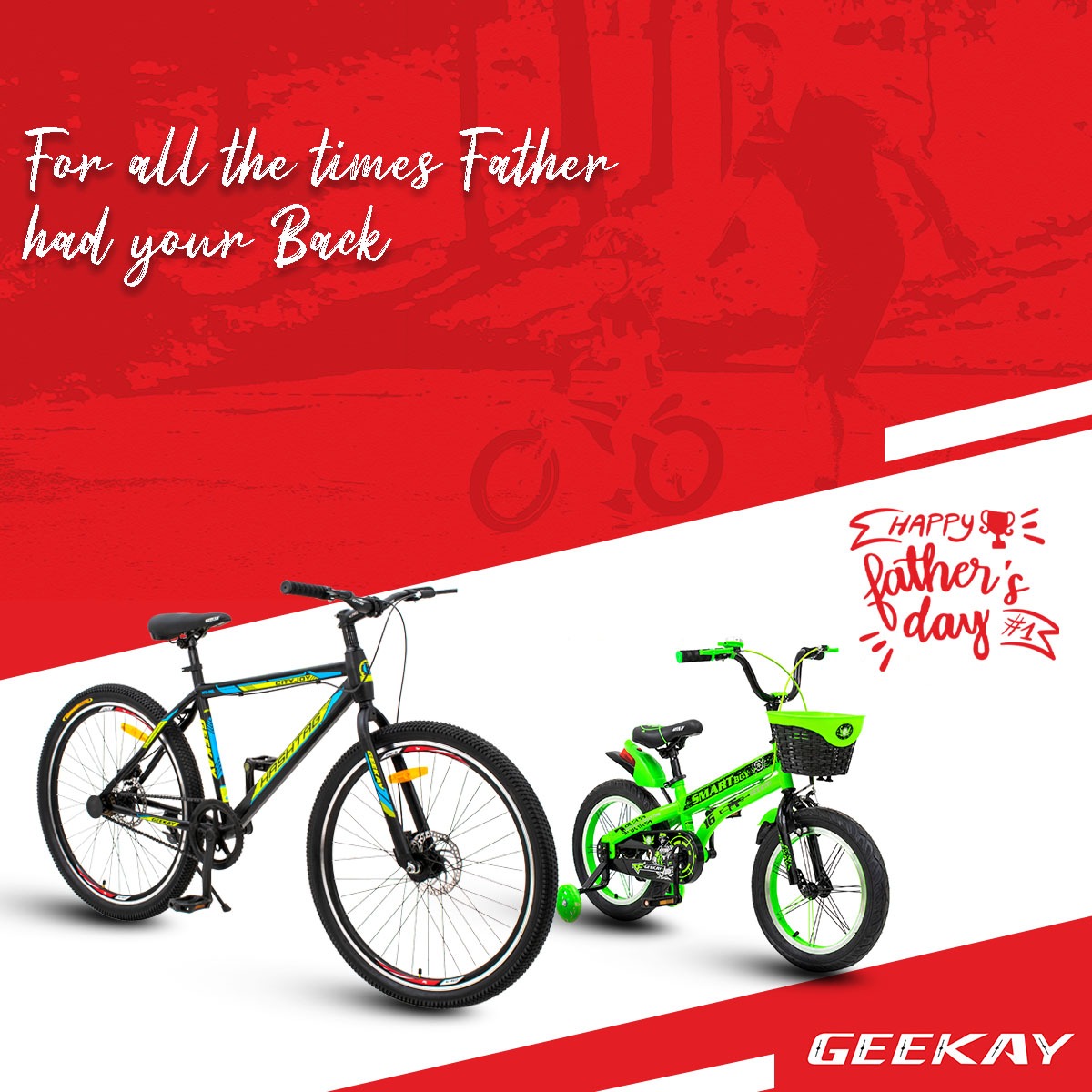 geekay e bicycle kit