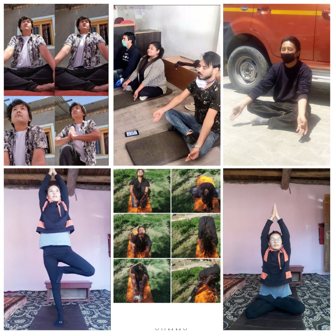 tseringangmo3's tweet photo. International Day of Yoga is observed on 21st June every year to spread awareness about the importance and effects of  yoga on the health of the people.The word 'yoga' is derived from Sanskrit which means to join or to unite. #CSCDMs#VLEs.
@CSCegov_ @dintya15 @CscLadakh. https://t.co/gHZvuHtEWl