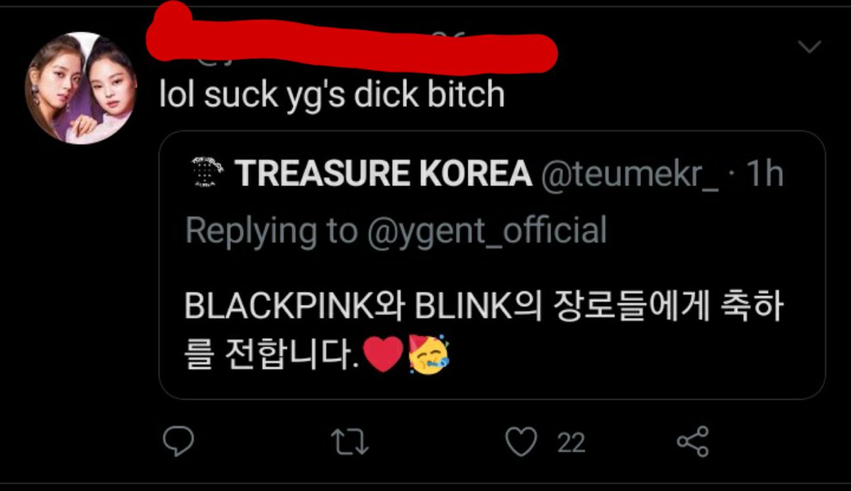 ♡Muchos se quejan en línea y han sido víctimas de la toxicidad del fandom de blackpink. Blink se jacta diciendo que no son tóxico y que lo hacen por el mal trato a su artistas. Treasure