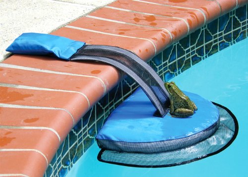 TheTucsonDogMag's tweet photo. Assuring small pets & wildlife have a way of exiting pools saves tiny lives. Install a ramp or other product. ๐ถ๐ธ ๐ฆ๐๐ฟ๏ธ๐ฆจ #summertime #petsafety #froglog https://t.co/QmitZsf8ax
