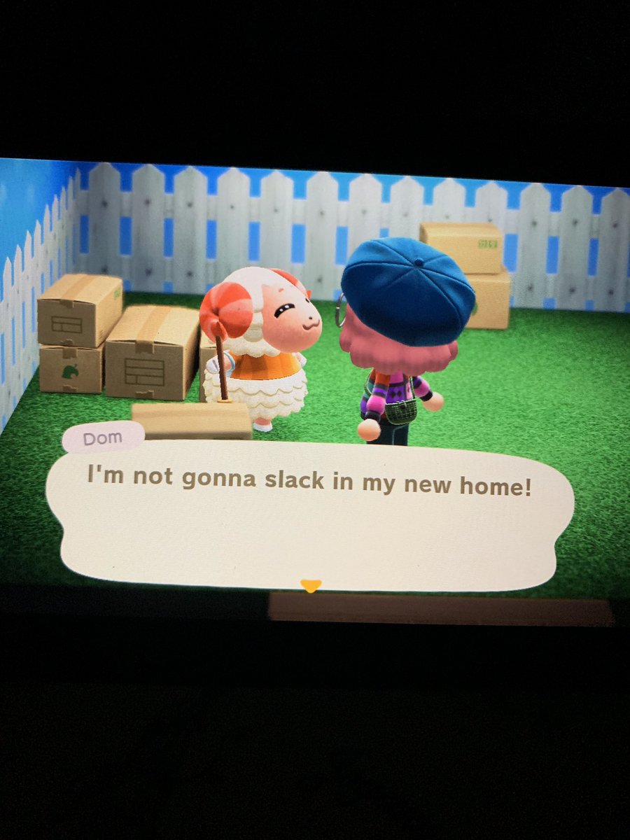 NAMGlWRLD's tweet photo. got dom in boxes!! dm with offers :) #acnhvillagertrade #ACNH #newhorizons https://t.co/pCJXIpOiAM