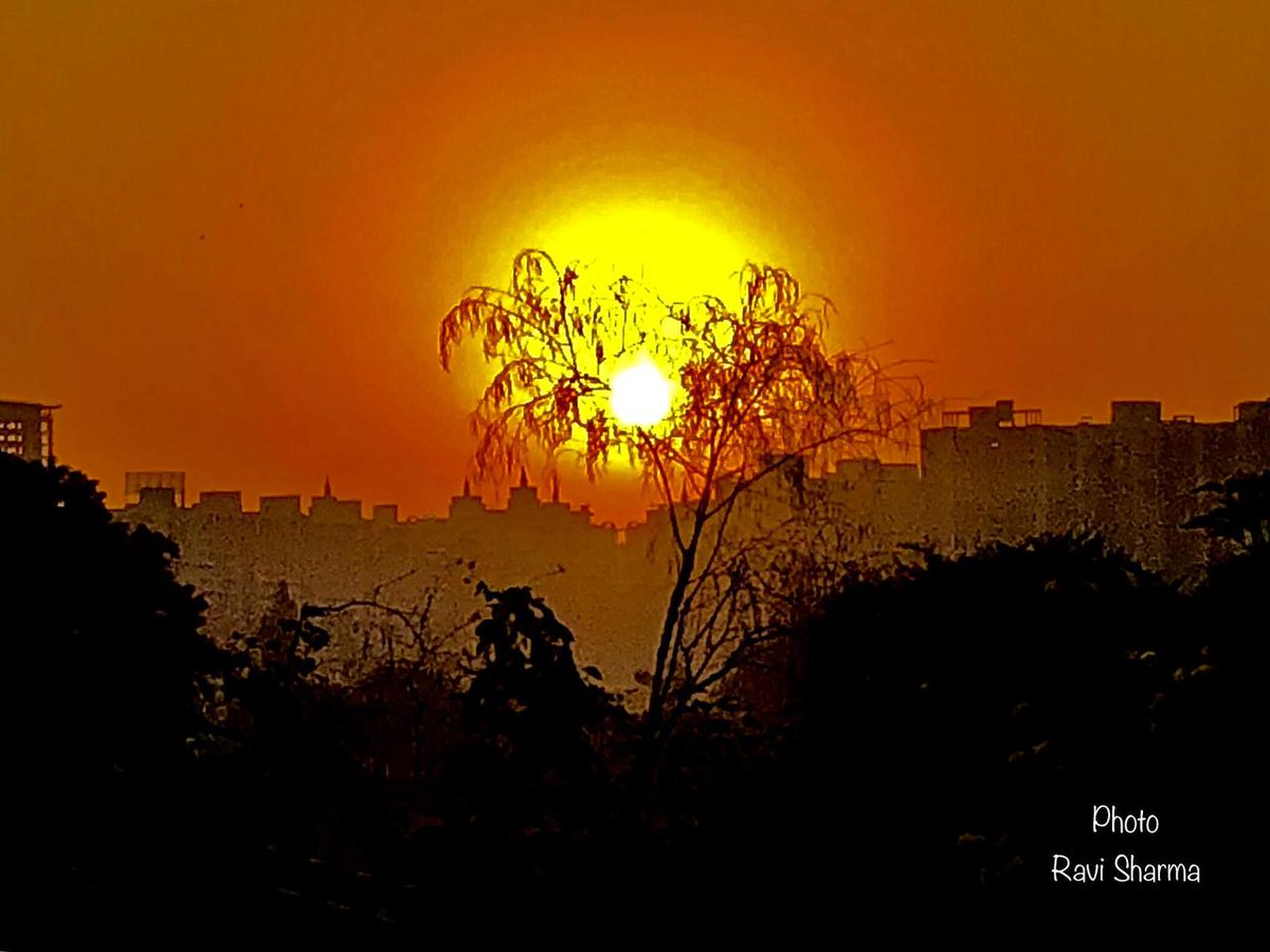 the_chetna's tweet photo. Happy #Sunday
Happy #FathersDay
Happy #yoga day
Happy #Eclipse day
Happy #Solstice day
🌞🌞🌞🌞🌞🌞🌞
@ravisharma_in 
@PJFIndia https://t.co/ctajn0LKne