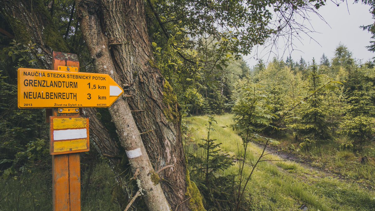 fernwehyvi's tweet photo. Mitten in toller Natur überschritten wir gestern mehrfach die deutsch-tschechische Grenze, meisterten steile Anstiege, waren am Mittelpunkt Europas und besuchten eine ehemalige Radarstation.
Ein sehr beeindruckender Tag!
#tillenberg #neualbenreuth #oberpfaelzerwald https://t.co/lXH3gzGkAe