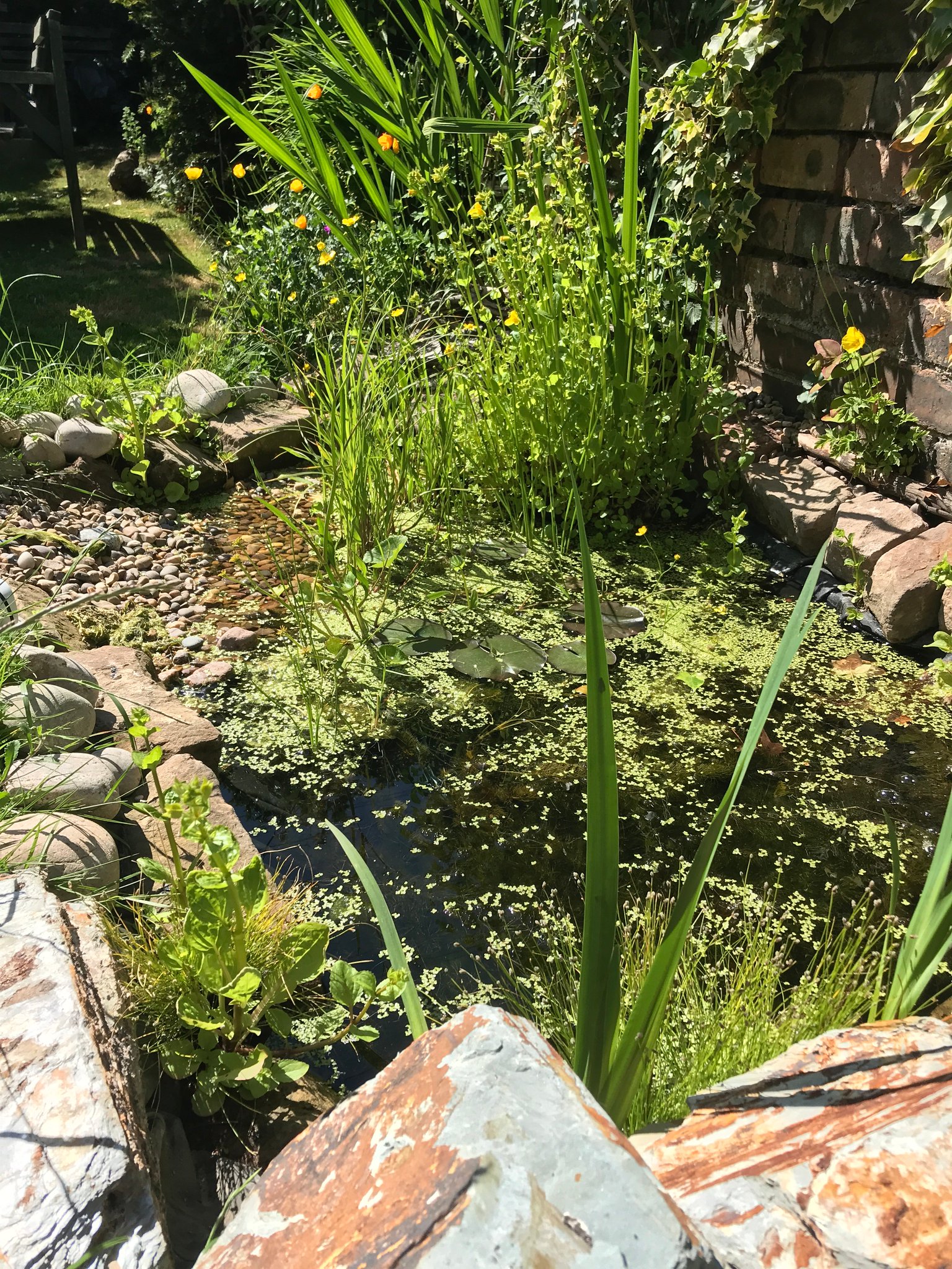 Rewild Scotland 🏴󠁧󠁢󠁳󠁣󠁴󠁿 on Twitter "If you want to increase the