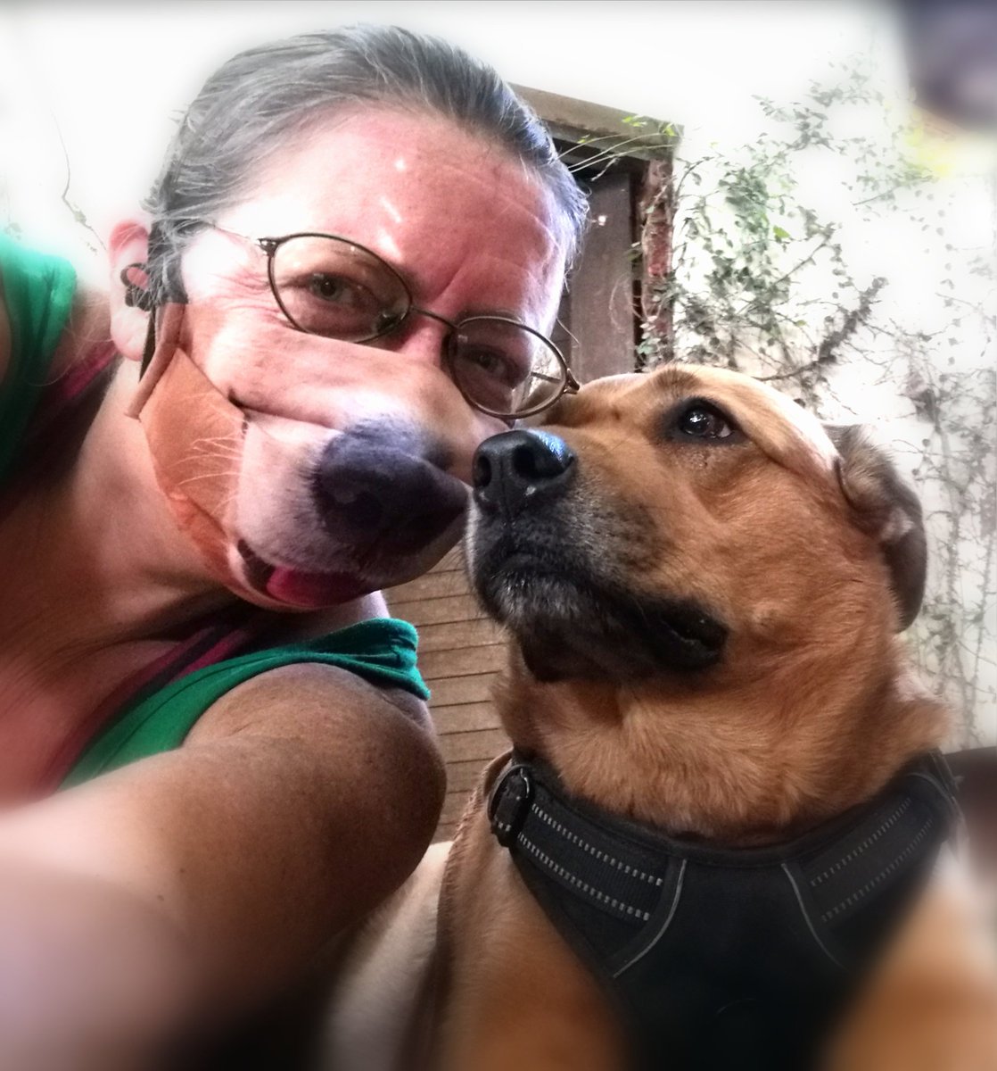 ladydebidebz1's tweet photo. Nose-Boops!!!
๐๐๐๐๐
#ChannelingMyInnerDawg
#CrazyGals
#NormalIsASettingOnAWashingMachine
#GottaLoveTheFurries https://t.co/9DMGFoSIvL