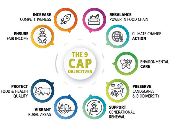 11/ Since 1995, the CAP has been subject 2 the WTO Agreement on Agriculture (AoA), which establishesbinding commitments aimed at reducing trade distorting public support 4 agriculture (improve market access, reduce domestic support linked 2 production&reduce export subsidies).