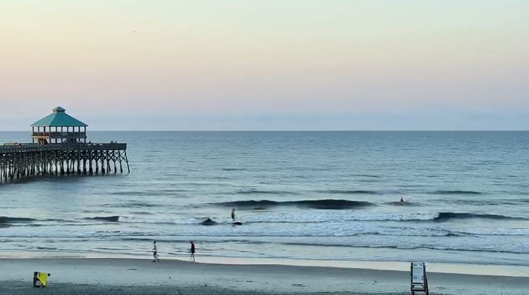 MegConz's tweet photo. What a great looking SUNday morning! ๐
Who else caught a good sunrise pic?๐โโ๏ธ
#CHSwx #FollyBeach #MurrelsInlet https://t.co/CSMydQGZT0