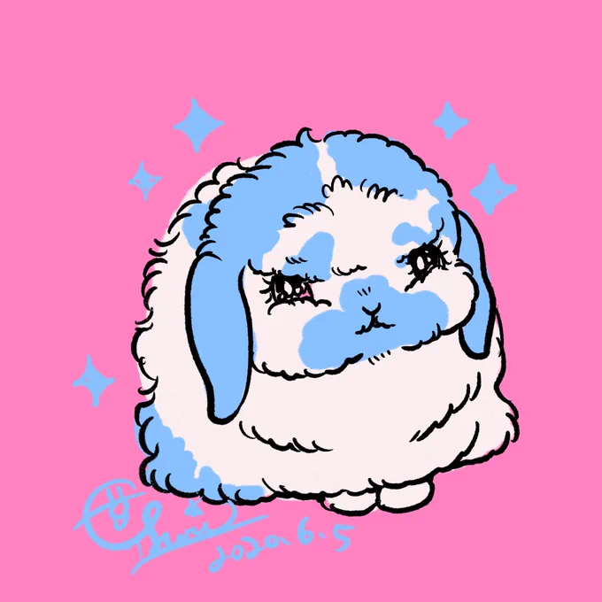 うさぎもちょこちょこいる?かわいいね 