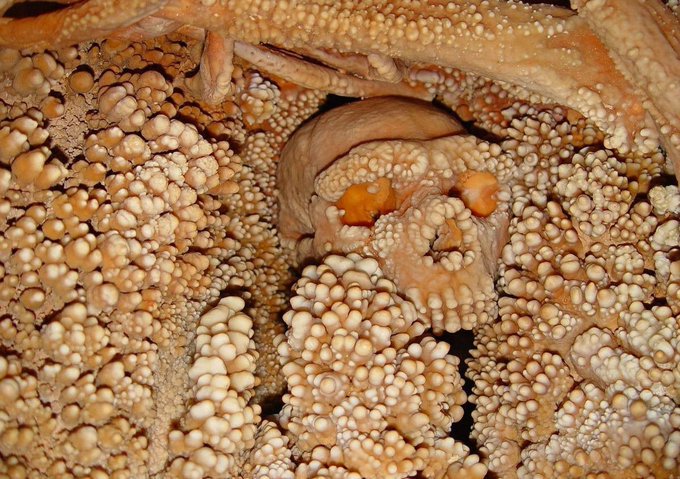 Rainmaker1973's tweet photo. Remarkably well preserved but embedded in stalactites and covered in a thick layer of calcite, this skull has given the oldest known samples of Neanderthal DNA, dating back between 128,000 and 187,000 years ago https://t.co/HmSjDHVHOl #AltamuraMan https://t.co/dlH3IfQhhB