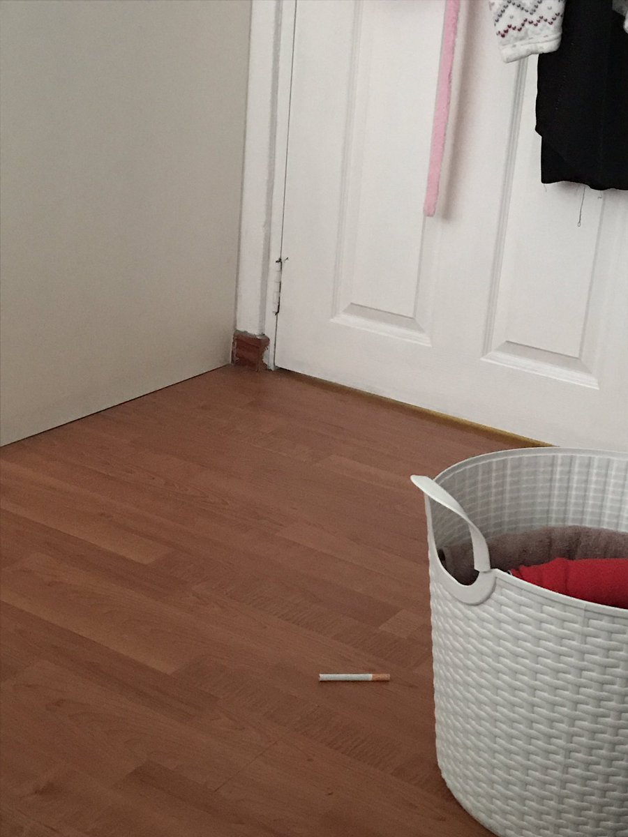 buttercup 🦦 tweet media